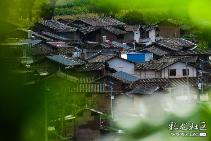 东京迷城