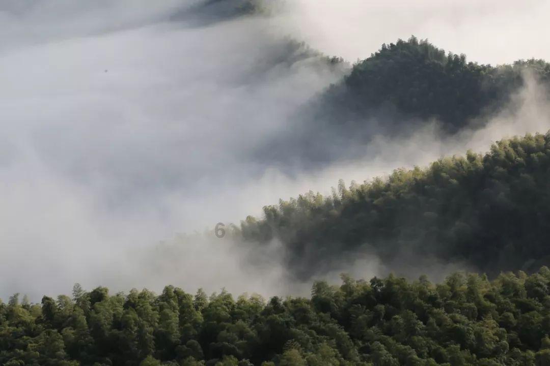 郭永怀：飞机失事时，他为保护公文包资料，和警卫员紧紧抱在一起